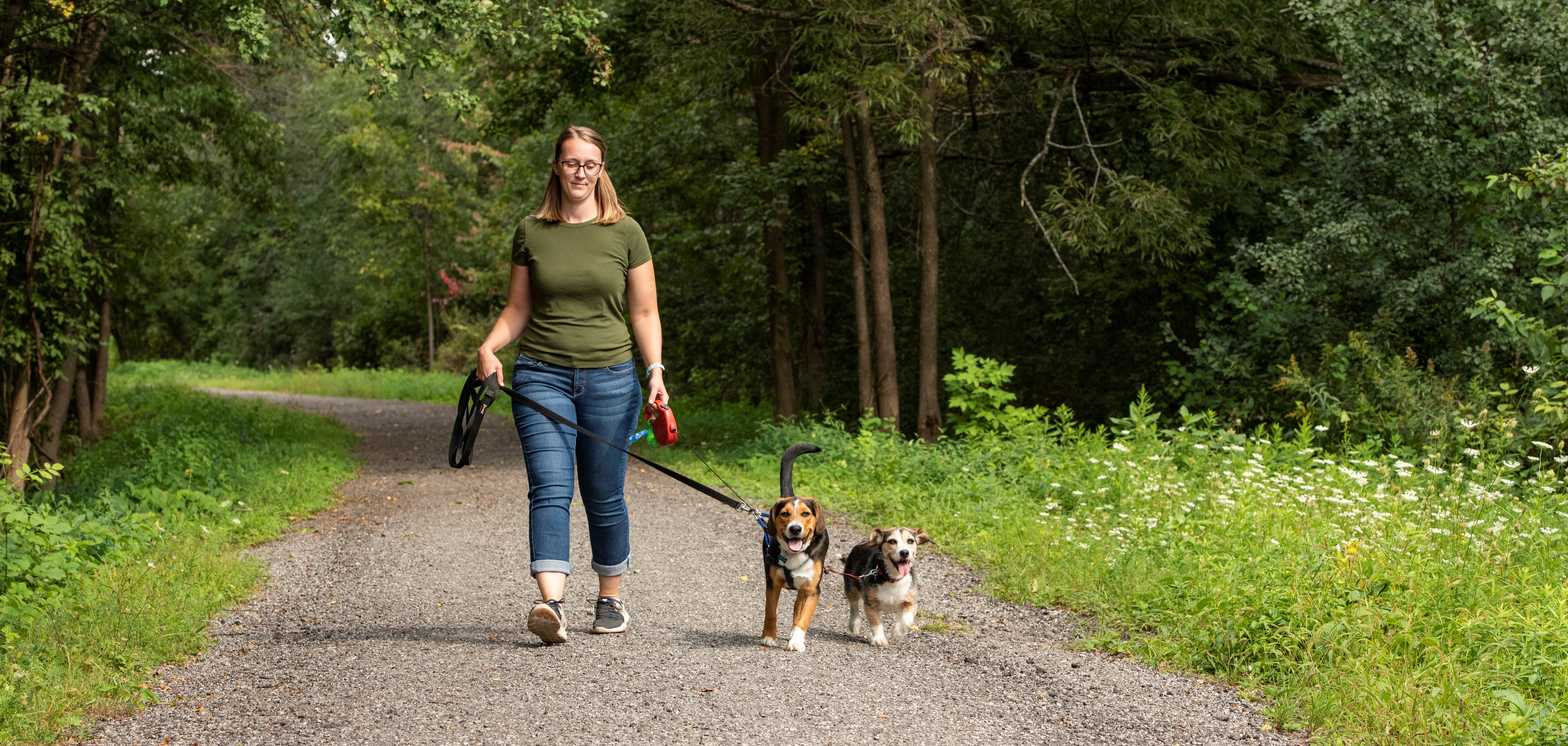 Girl walking her dogs on a trail