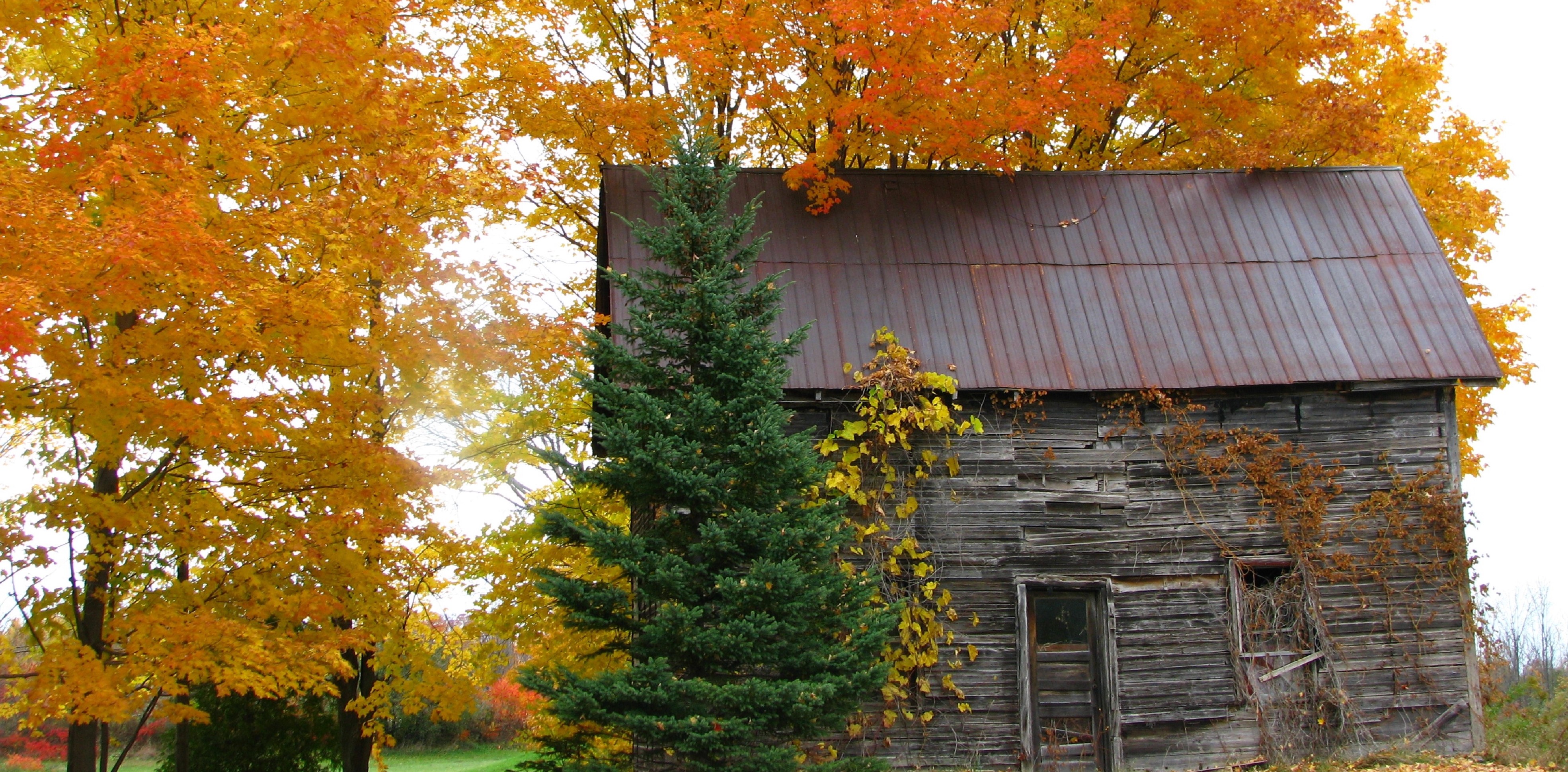 Fall barn