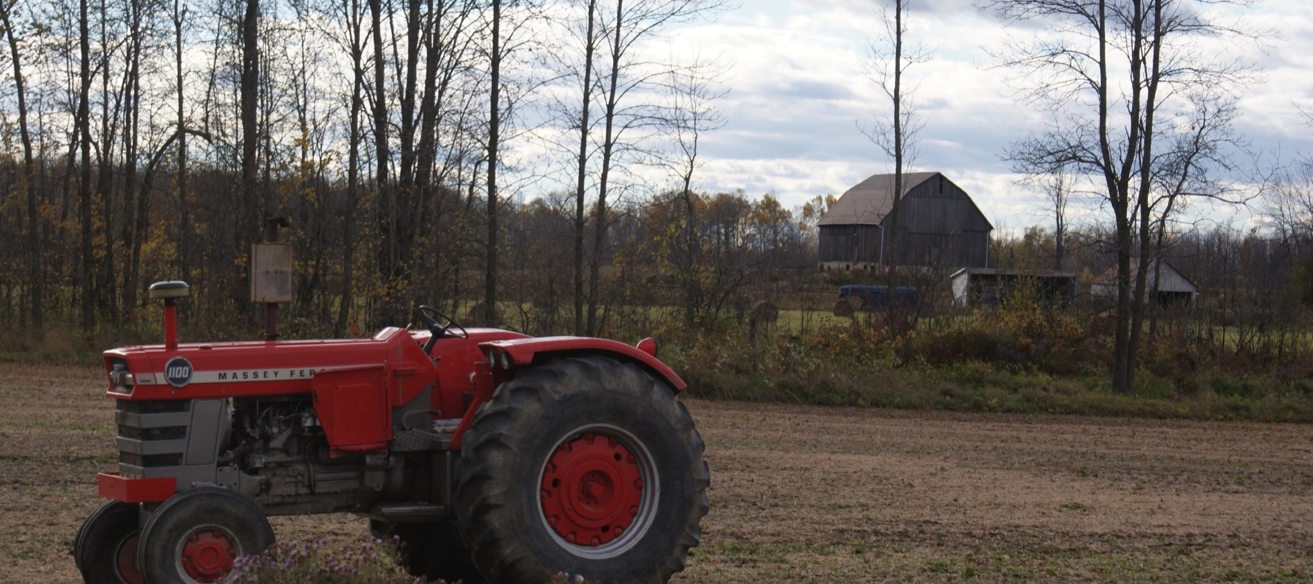 Tractor in a farmer's field