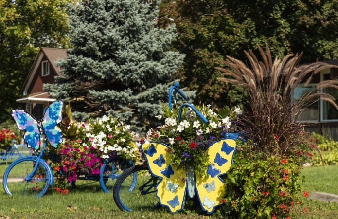 Bike and flowers