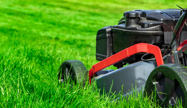 Lawnmower cutting grass