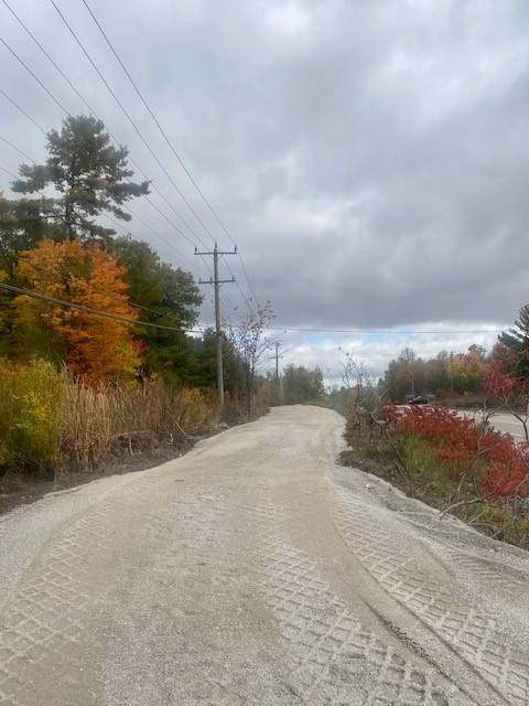 Trail off of County Road 169