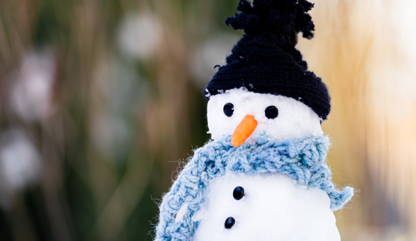 Picture of a snowman with blue scarf
