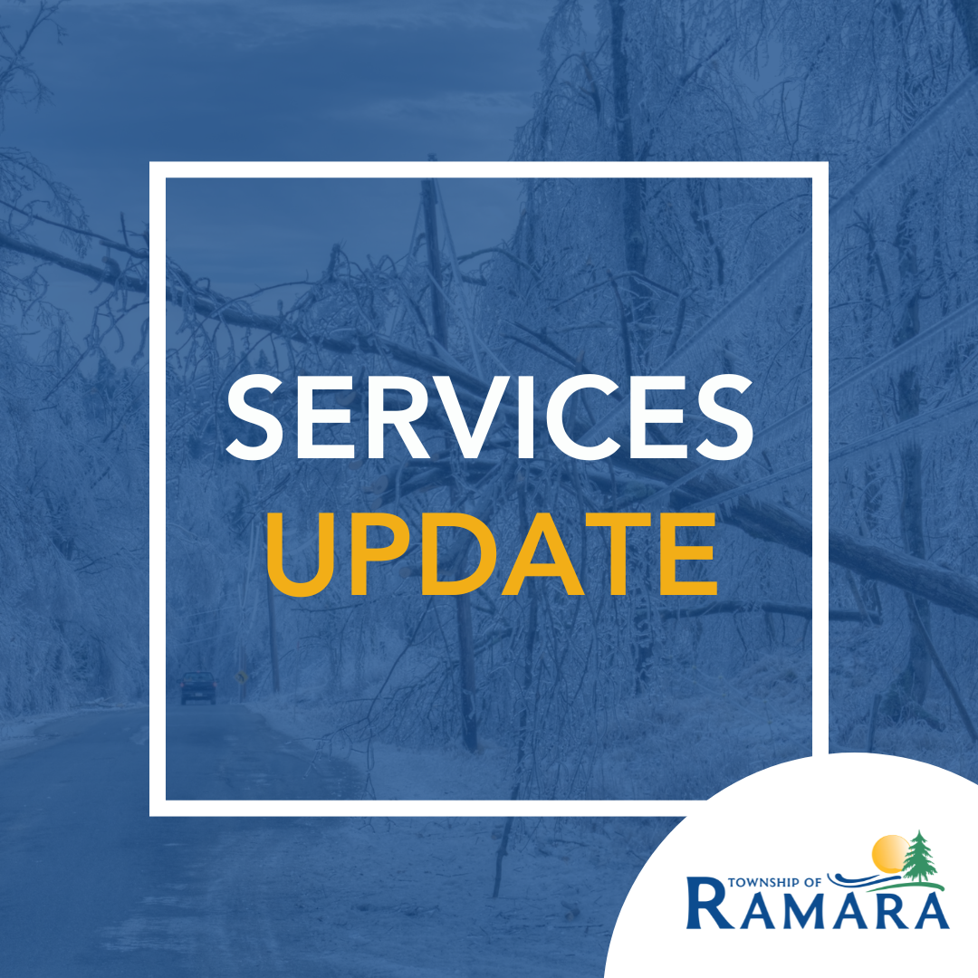Services Update