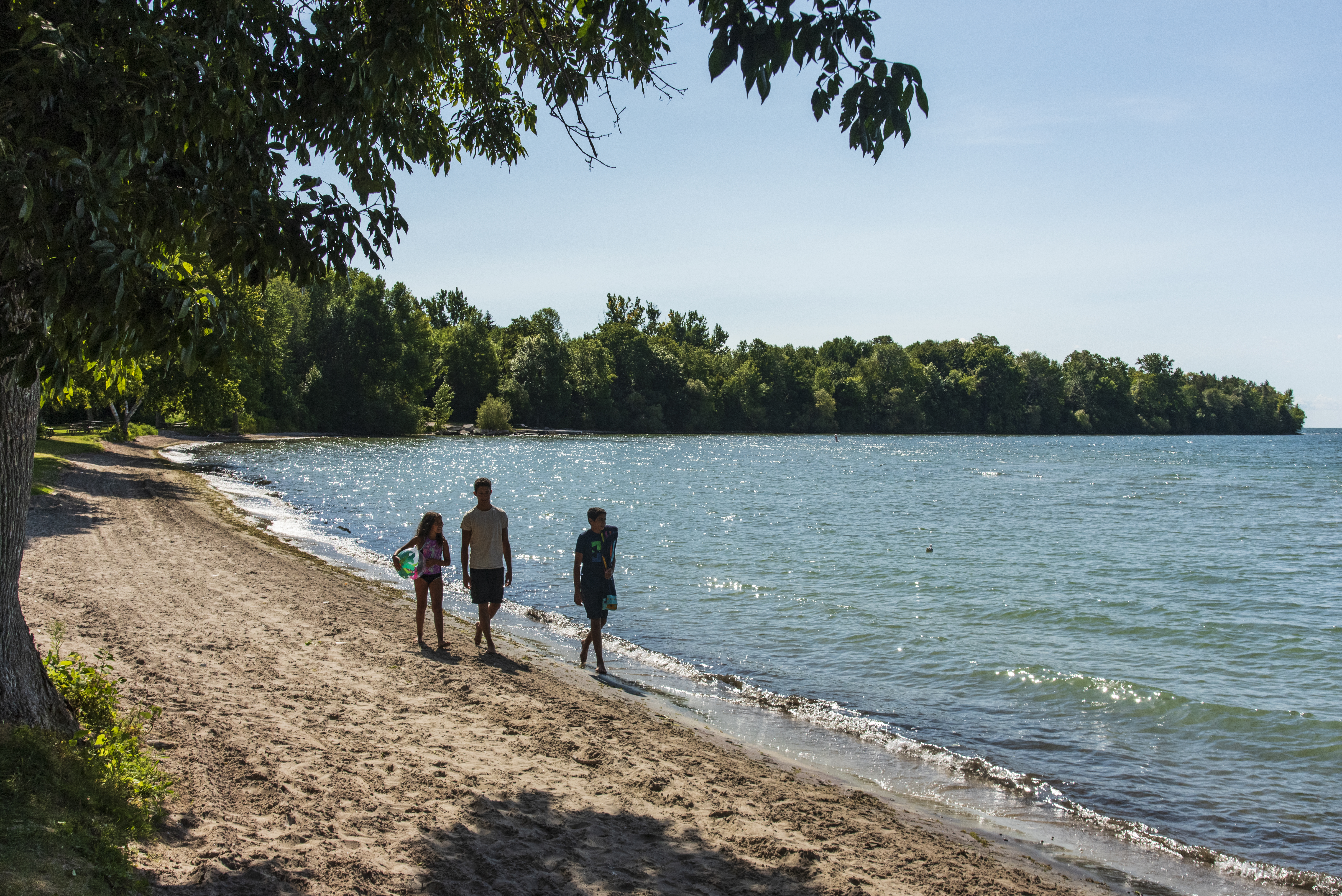 Picture of people walking on the beach