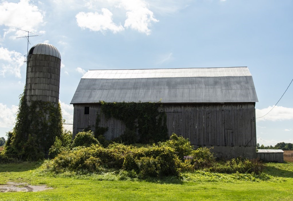 Picture of a farm