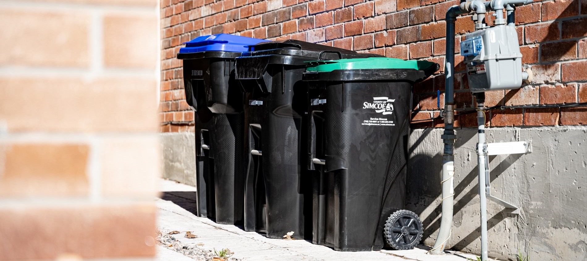 House with Garbage and Recycling 