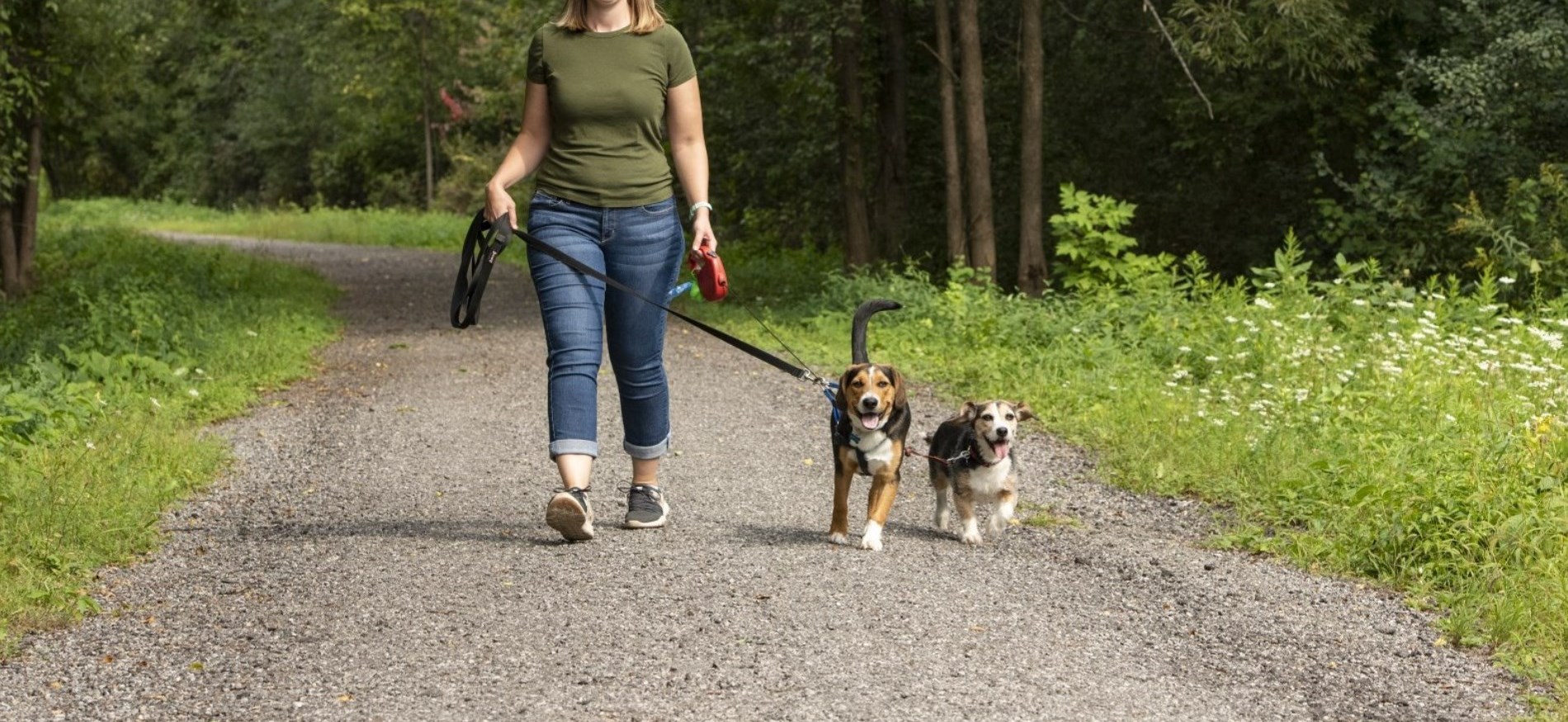 picture of women walking dogs