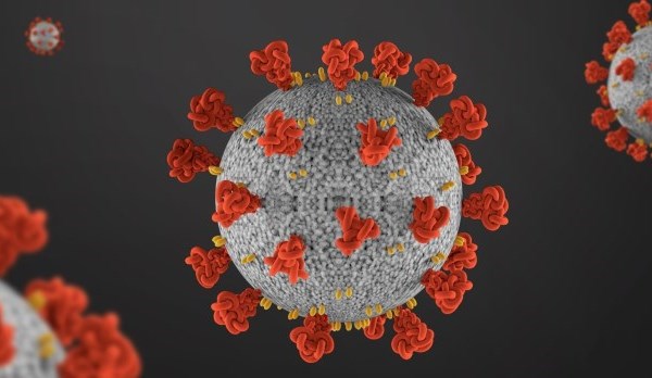 Picture of the covid-19 virus