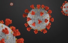 picture of the covid-19 virus
