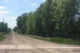 Picture of Concession Road 9 gravel road