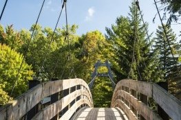 Picture of Lagoon City Footbridge