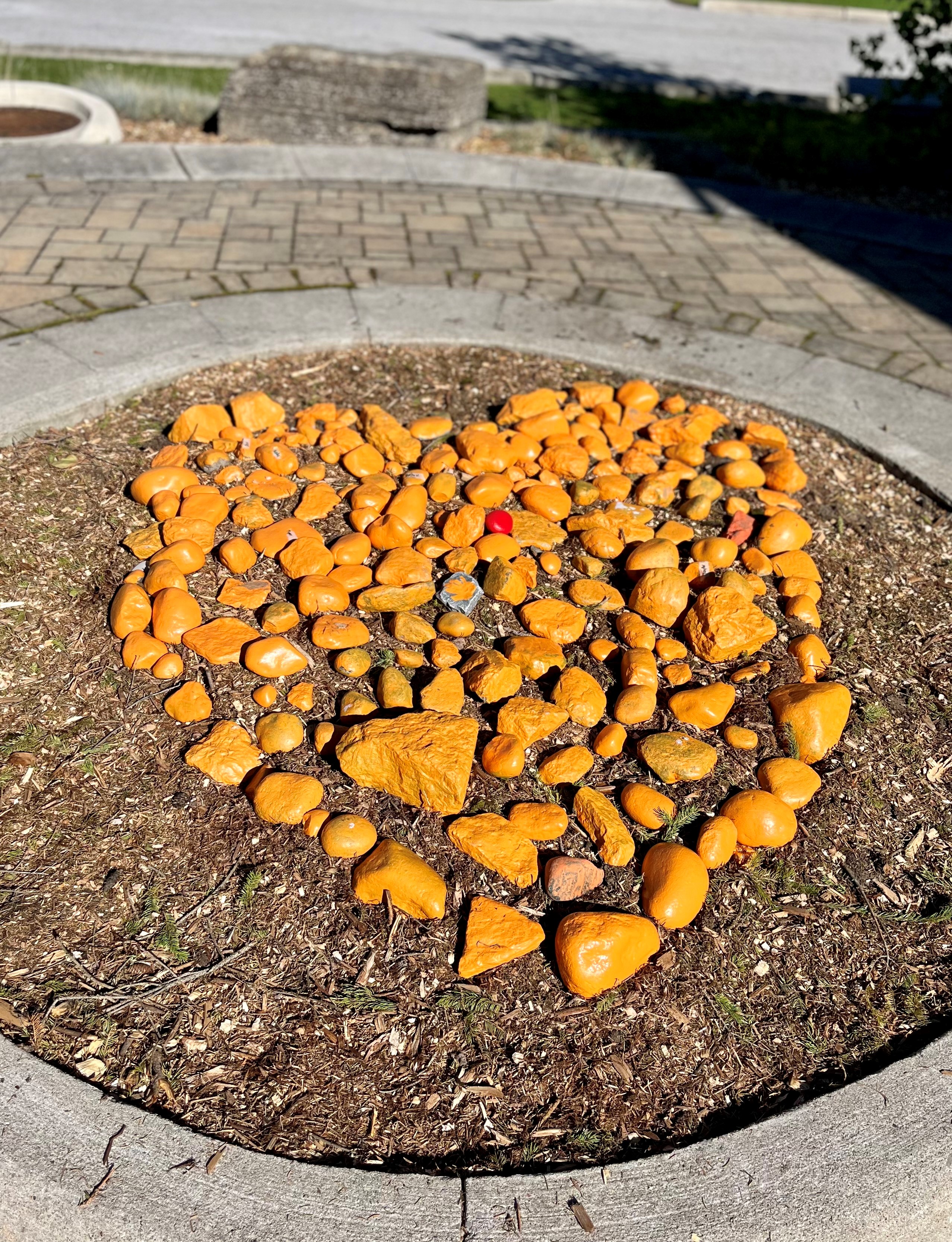 Orange rocks in a heart shape formation
